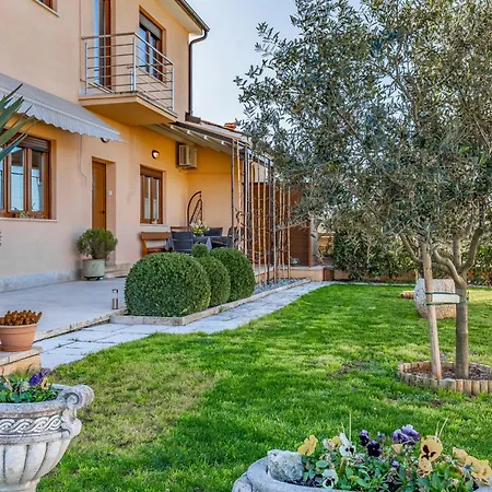 Big With Free Parking Pola