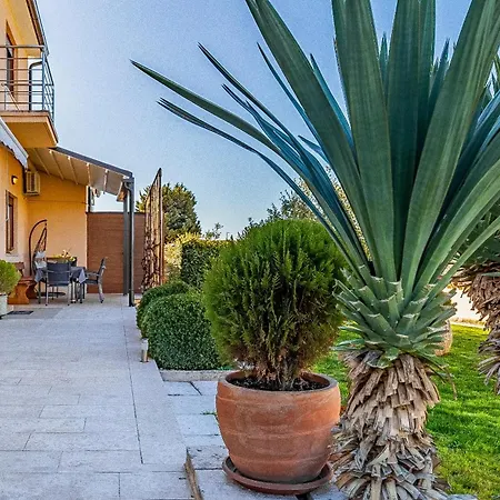 Appartamento Big With Free Parking