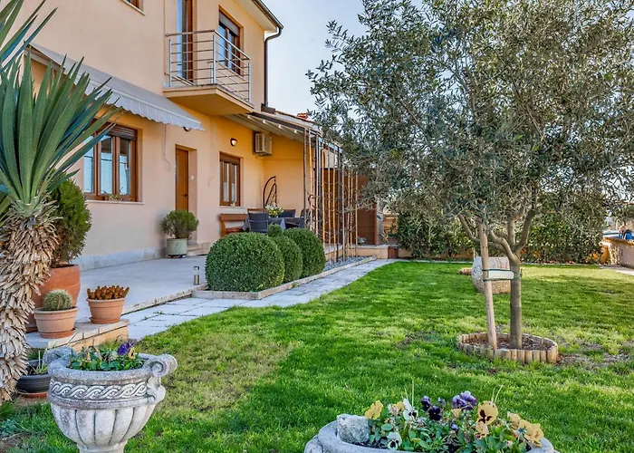 Big With Free Parking 풀라